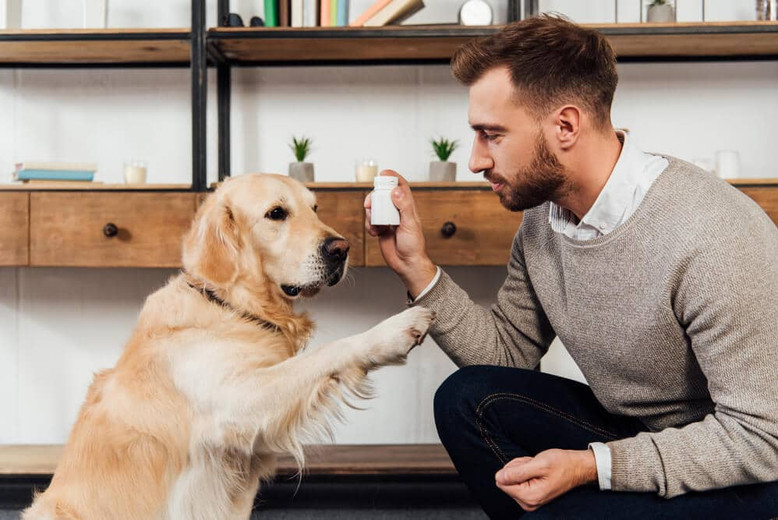 Mann gibt Golden Retriever Hund Nahrungsergänzung