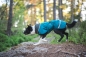 Preview: PerusPomppa Hunde Wintermantel petrol