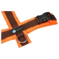 Preview: annyx Brustgeschirr Protect leuchtorange/braun