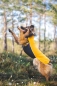 Preview: JumppaPomppa Fleece Pullover, curry