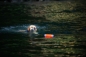 Preview: Chuckit! Amphibious Bumper - Wasserspielzeug