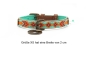 Preview: Dog with a Mission Halsband Paddy Lee