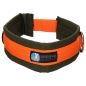 Preview: annyx Steckhalsband Fun oliv/orange