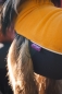 Preview: JumppaPomppa Fleece Pullover, curry