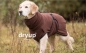Preview: DRYUP Cape Hundebademantel brown braun