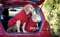 Preview: DRYUP Cape Hundebademantel pepper rot
