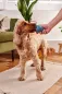 Preview: BECO Boredom Buster – Befüllbares Kauspielzeug aus Naturkautschuk