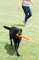 Preview: Chuckit! Air Fetch Stick