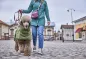 Preview: Hurtta Regenmantel Mudventure Coat – Forest
