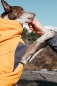 Preview: HURTTA Expedition Hunde-Wintermantel buckthorn orange