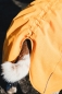 Mobile Preview: HURTTA Expedition Hunde-Wintermantel dunkelgrau grau