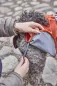 Preview: Hurtta Hunde Regenmantel Mudventure Coat – Cinnamon (Zimt)