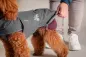 Preview: Hurtta Hundejacke Hundemantel Walk All-Season Jacket – Blackberry (Dunkelgrau)