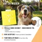 Preview: REAVET Multivitamin für Hunde Drops 350g (140 Stk.) | Vitamine für Hunde & Immunsystem Snack