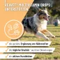 Preview: REAVET Multivitamin für Hunde Drops 350g (140 Stk.) | Vitamine für Hunde & Immunsystem Snack