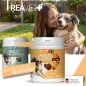 Preview: REAVET Multivitamin für Hunde Drops 350g (140 Stk.) | Vitamine für Hunde & Immunsystem Snack