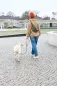 Preview: PALOPA Leckerlibeutel „Emma“ – Stylische 3-in-1 Hunde-Gassitasche (Wasserabweisend & Recycelt)