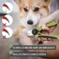 Preview: REAVET Krallenschere für Hunde & Katzen (Gr. S-XL) mit Abstandsschutz & integrierter Krallenfeile im Griff – Safe Cut Krallenknipser