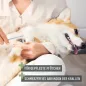 Preview: REAVET Krallenschere für Hunde & Katzen (Gr. S-XL) mit Abstandsschutz & integrierter Krallenfeile im Griff – Safe Cut Krallenknipser