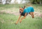 Preview: JumppaPomppa Fleece Pullover forest