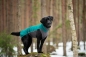 Preview: JumppaPomppa Fleece Pullover forest