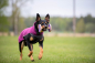 Preview: JumppaPomppa Fleece Pullover plum