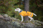 Preview: PerusPomppa Hunde Wintermantel curry