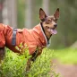 Preview: PerusPomppa Hunde Wintermantel Rust