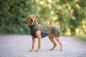 Preview: PolarPomppa Hundepullover Olive – Warme Sherpa-Fleecejacke mit Reißverschluss