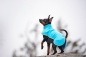 Preview: SporttiPomppa Softshell-Hundemantel artic