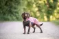 Preview: Pomppa PolarPomppa Hundepullover Mallow (Altrosa) – Warme Fleecejacke mit Reißverschluss