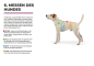 Preview: JumppaPomppa Fleece Hundepullover – Sand