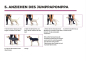 Preview: JumppaPomppa Fleece Hundepullover – Sand