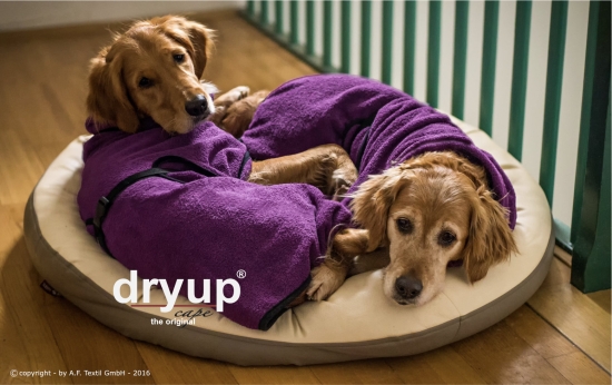 Dryup Cape Hundebademantel bilberry lila