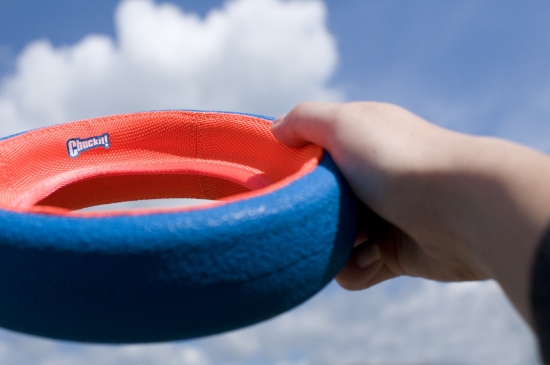 Chuckit! Fetch Wheel