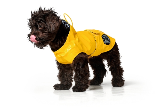 Hunde Regenmantel Milford gelb