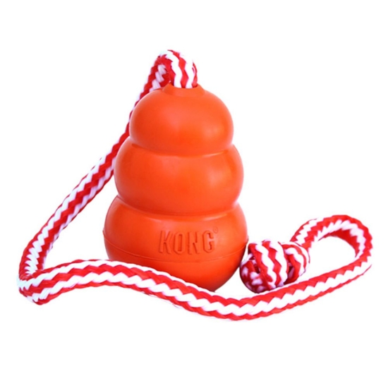 KONG Aqua Hundespielzeug