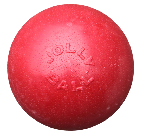 Jolly Pets Bounce-n-Play Hundeball