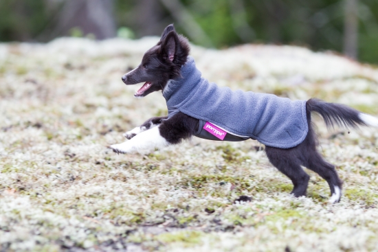 JumppaPomppa Fleece Pullover graphite