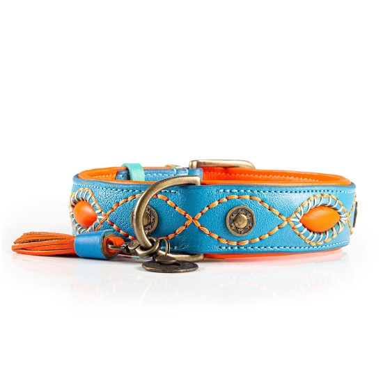 Dog with a Mission Halsband Jones