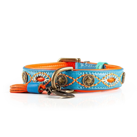 Dog with a Mission Halsband Jones