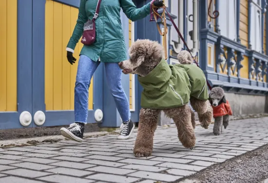 Preview: Hurtta Regenmantel Mudventure Coat – Forest