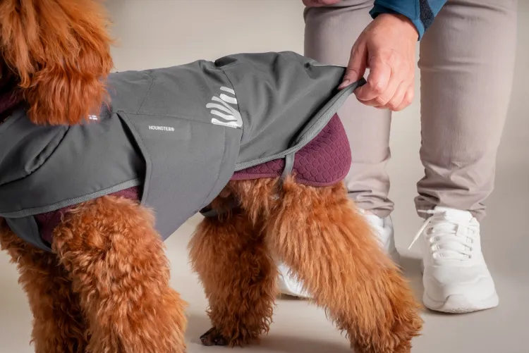 Hurtta Hundejacke Hundemantel Walk All-Season Jacket – Blackberry (Dunkelgrau)
