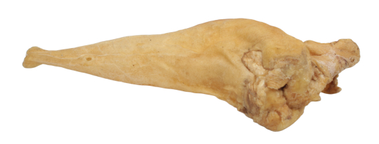 Pferdeohren getrocknet XXL für Hunde