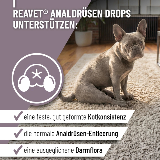 Preview: Analdrüsen Drops 350g (140Stk)