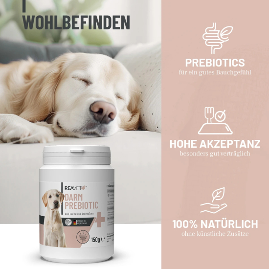 Preview: Darm Prebiotic 150g
