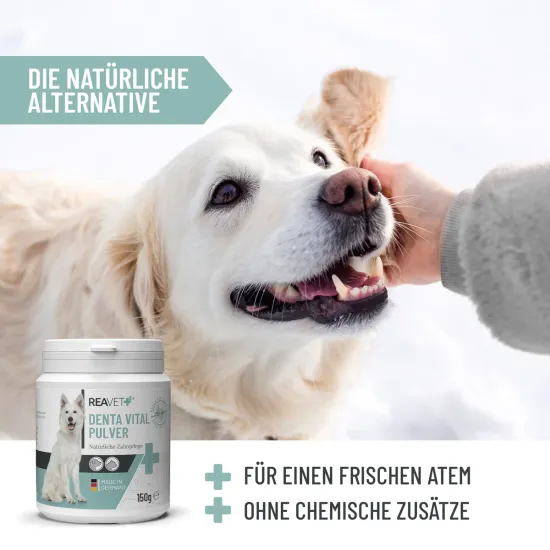 Preview: REAVET Denta Vital Pulver für Hunde & Katzen 150g | Zahnstein & Mundgeruch