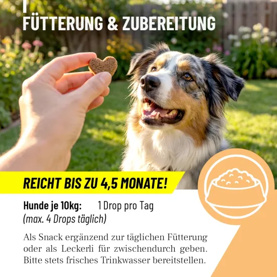 Preview: REAVET Multivitamin für Hunde Drops 350g (140 Stk.) | Vitamine für Hunde & Immunsystem Snack