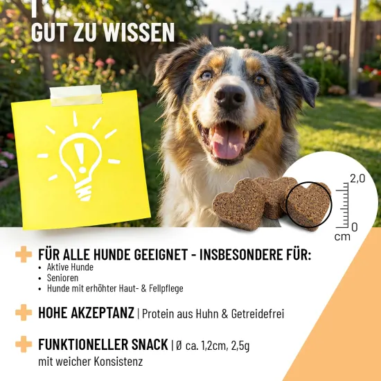 Preview: REAVET Multivitamin für Hunde Drops 350g (140 Stk.) | Vitamine für Hunde & Immunsystem Snack