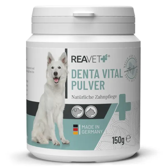 REAVET Denta Vital Pulver für Hunde & Katzen 150g | Zahnstein & Mundgeruch